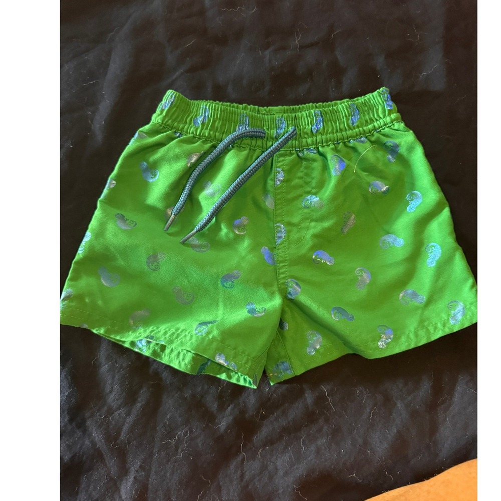 Floatimini Boys Green Chameleon Foil Print Swim Trunks Shorts 18M